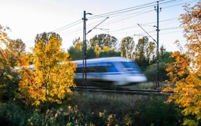 Spännande nyheter från oss
